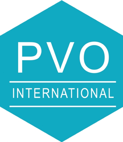 Logo PVO International