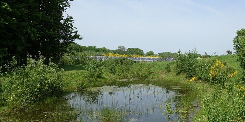 Hoe energieboswachters zonneparken tot leven wekken