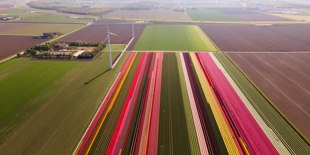 Afspiegeling van Nederland gaat beleid voorstellen in nationaal burgerberaad klimaat