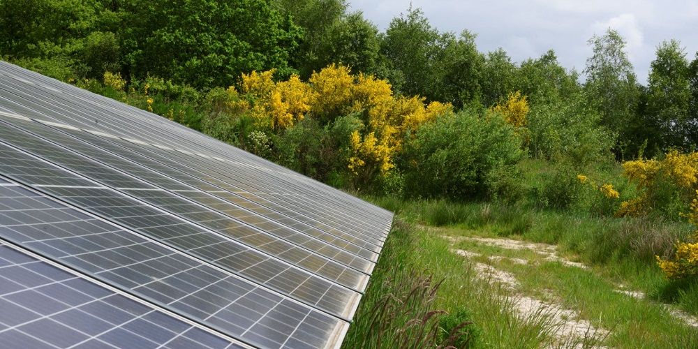 PBL: weinig vooruitgang op het gebied van duurzaamheid, energietransitie en circulaire economie