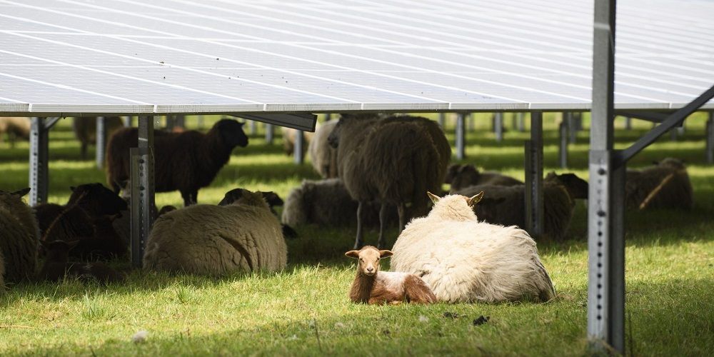 Opwekcapaciteit van wind- en zonne-energie op land wordt steeds groter, maar 55 terawattuur in 2030 is “heel erg onwaarschijnlijk”