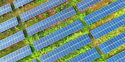 SolarPower Europe: 'Europees beleid nodig voor natuurinclusieve zonneparken’ 